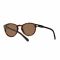 Occhiali da sole LAUREN RALPH LAUREN - 0PH4172 595473 Shiny Dark Havana/Brown