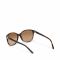Occhiali da sole LAUREN RALPH LAUREN - 0RL8116 526013 Brown