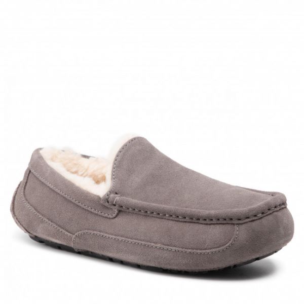 Pantofole Ugg - M Ascot 1101110 Grey