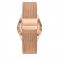Orologio Skagen - Grenen SKW6818 Rose Gold