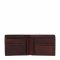 Portafoglio grande da uomo U.S. Polo Assn. - Horiz. Wallet W/Cards WIUUY2262MHA560 Cognac