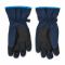 Guanti da sci Reusch - Alan 4461115 Brilliant Blue/Navy 452