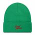 Berretto Local Heroes - AW21HAT019 Green